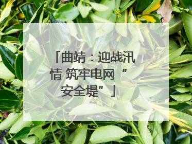 曲靖：迎战汛情 筑牢电网“安全堤”