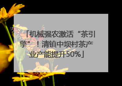 机械强农激活“茶引擎”！清镇中坝村茶产业产能提升50%