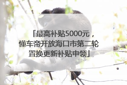 最高补贴5000元，懂车帝开放海口市第二轮置换更新补贴申领