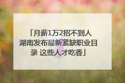 月薪1万2招不到人 湖南发布最新紧缺职业目录 这些人才吃香
