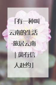 有一种叫云南的生活·旅居云南｜菌有信 人赴约