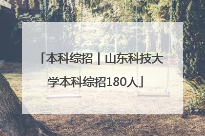 本科综招｜山东科技大学本科综招180人