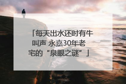 每天出水还时有牛叫声 永嘉30年老宅的“泉眼之谜”