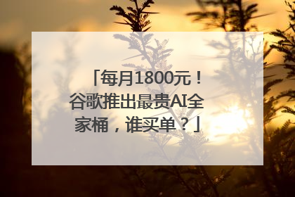 每月1800元！谷歌推出最贵AI全家桶，谁买单？