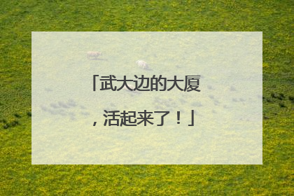 武大边的大厦，活起来了！