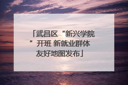 武昌区“新兴学院”开班 新就业群体友好地图发布
