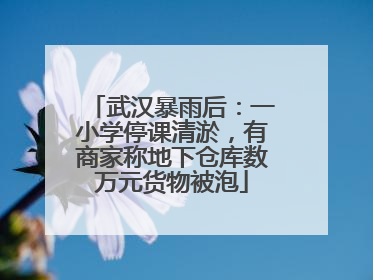 武汉暴雨后：一小学停课清淤，有商家称地下仓库数万元货物被泡