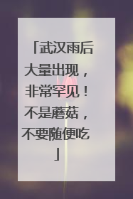 武汉雨后大量出现，非常罕见！不是蘑菇，不要随便吃