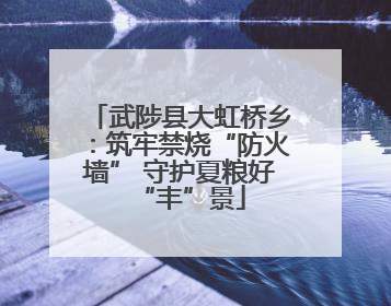 武陟县大虹桥乡：筑牢禁烧“防火墙” 守护夏粮好“丰”景