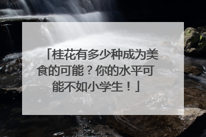 桂花有多少种成为美食的可能？你的水平可能不如小学生！