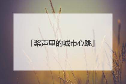 桨声里的城市心跳