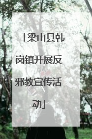 梁山县韩岗镇开展反邪教宣传活动