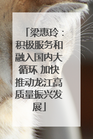 梁惠玲：积极服务和融入国内大循环 加快推动龙江高质量振兴发展