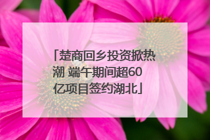 楚商回乡投资掀热潮 端午期间超60亿项目签约湖北