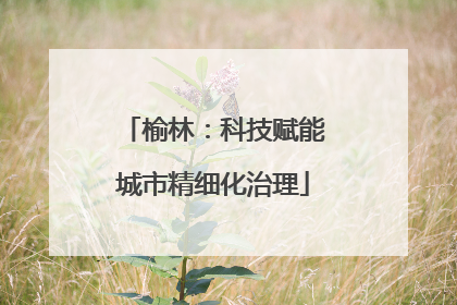 榆林：科技赋能城市精细化治理