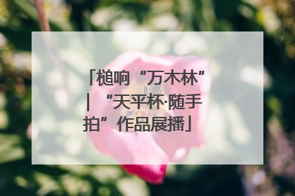 槌响“万木林”｜“天平杯·随手拍”作品展播