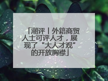 潮评丨外籍商贸人士可评人才，展现了“大人才观”的开放胸襟