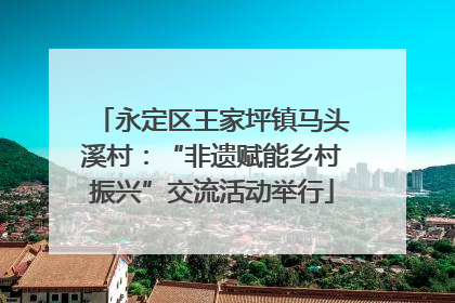 永定区王家坪镇马头溪村：“非遗赋能乡村振兴”交流活动举行