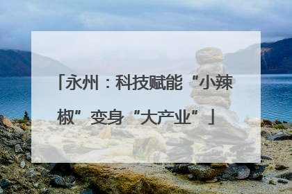 永州：科技赋能“小辣椒”变身“大产业”