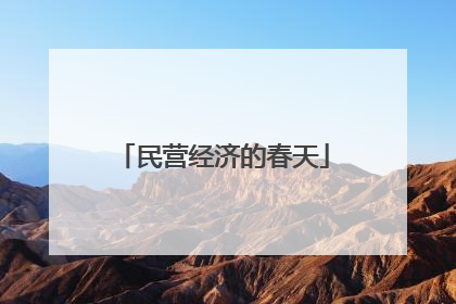 民营经济的春天