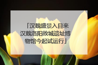 汉魏盛景入目来 汉魏洛阳故城遗址博物馆今起试运行