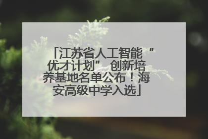 江苏省人工智能“优才计划” 创新培养基地名单公布！海安高级中学入选