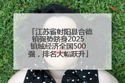 江苏省射阳县合德镇强势跻身2025镇域经济全国500强，排名大幅跃升