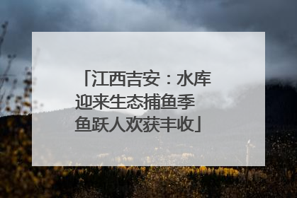 江西吉安：水库迎来生态捕鱼季 鱼跃人欢获丰收