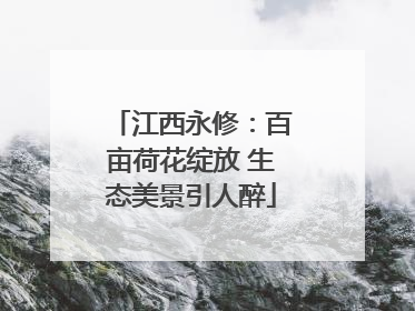 江西永修：百亩荷花绽放 生态美景引人醉