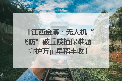 江西金溪：无人机“飞防”破丘陵植保难题 守护万亩早稻丰收