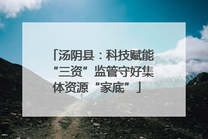 汤阴县：科技赋能“三资”监管守好集体资源“家底”