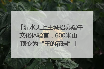 沂水天上王城招募端午文化体验官，600米山顶变为“王的花园”