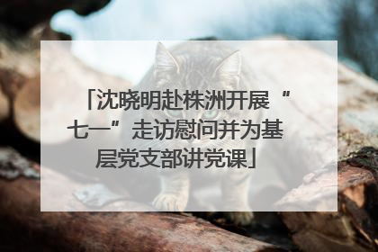 沈晓明赴株洲开展“七一”走访慰问并为基层党支部讲党课