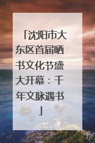 沈阳市大东区首届晒书文化节盛大开幕：千年文脉遇书