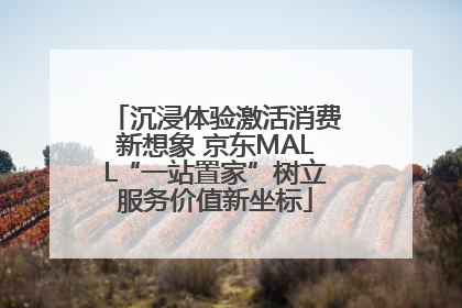 沉浸体验激活消费新想象 京东MALL“一站置家”树立服务价值新坐标