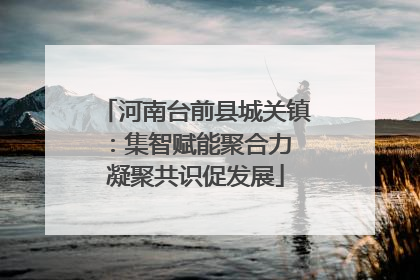 河南台前县城关镇：集智赋能聚合力 凝聚共识促发展