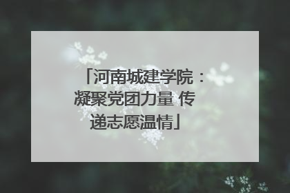 河南城建学院：凝聚党团力量 传递志愿温情