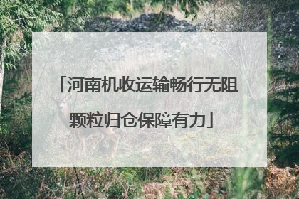 河南机收运输畅行无阻 颗粒归仓保障有力