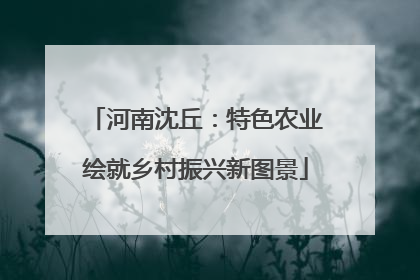 河南沈丘：特色农业绘就乡村振兴新图景