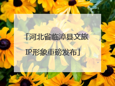 河北省临漳县文旅IP形象重磅发布
