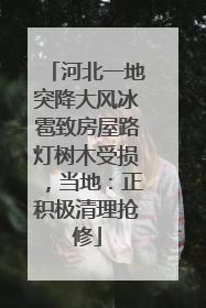 河北一地突降大风冰雹致房屋路灯树木受损，当地：正积极清理抢修
