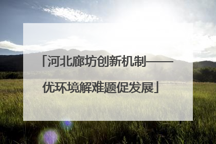 河北廊坊创新机制——优环境解难题促发展