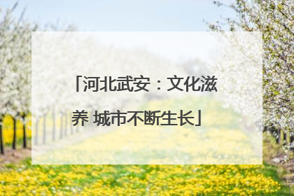 河北武安：文化滋养 城市不断生长