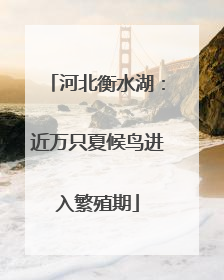 河北衡水湖：近万只夏候鸟进入繁殖期