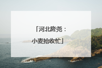 河北隆尧：小麦抢收忙