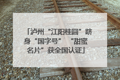 泸州“江阳桂圆”跻身“国字号” “甜蜜名片”获全国认证