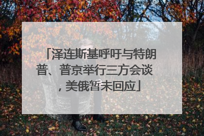 泽连斯基呼吁与特朗普、普京举行三方会谈，美俄暂未回应