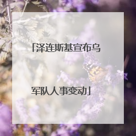 泽连斯基宣布乌军队人事变动