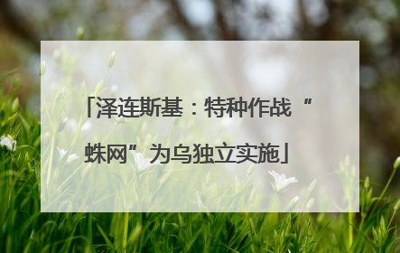 泽连斯基：特种作战“蛛网”为乌独立实施