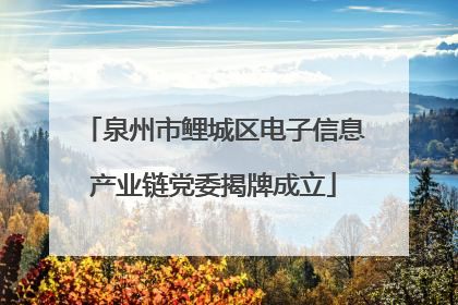 泉州市鲤城区电子信息产业链党委揭牌成立
